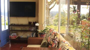 Smart TV, video games, books, video library