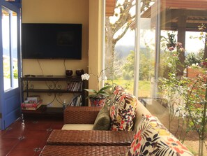 Smart TV, video games, books, video library