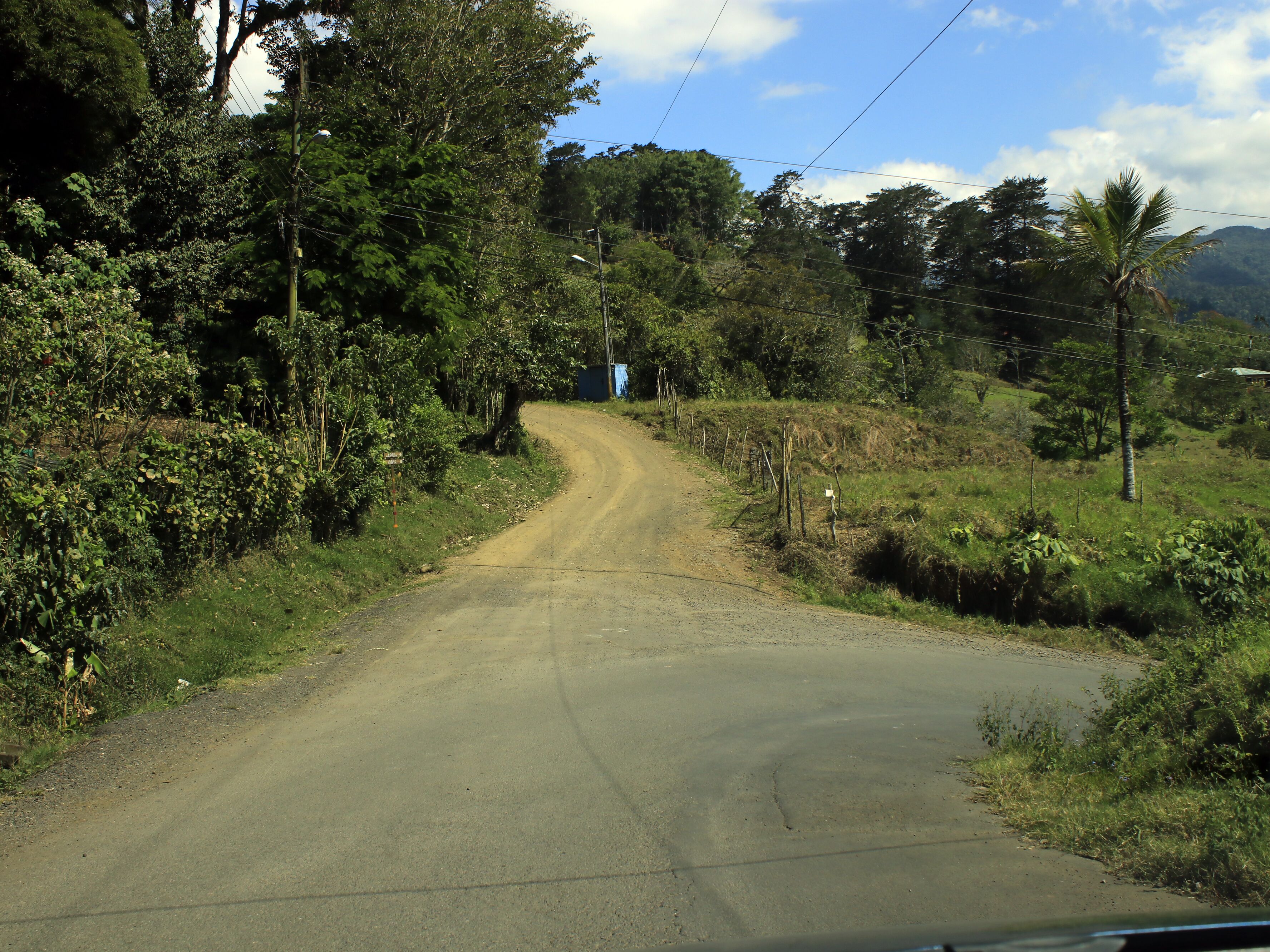 A rural road flanked by dense vegetation and a clear sky.