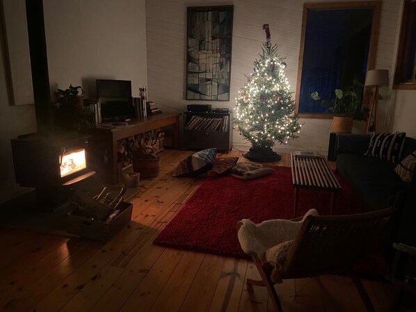 A cozy living room with a fireplace, a small Christmas tree, and a television. - Modern, Minimalist, Light-filled Home with Hot Tub Near Hudson (Craryville)