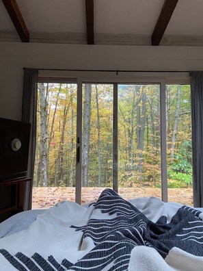 4 dormitorios, escritorio, tabla de planchar con plancha y cuna de viaje