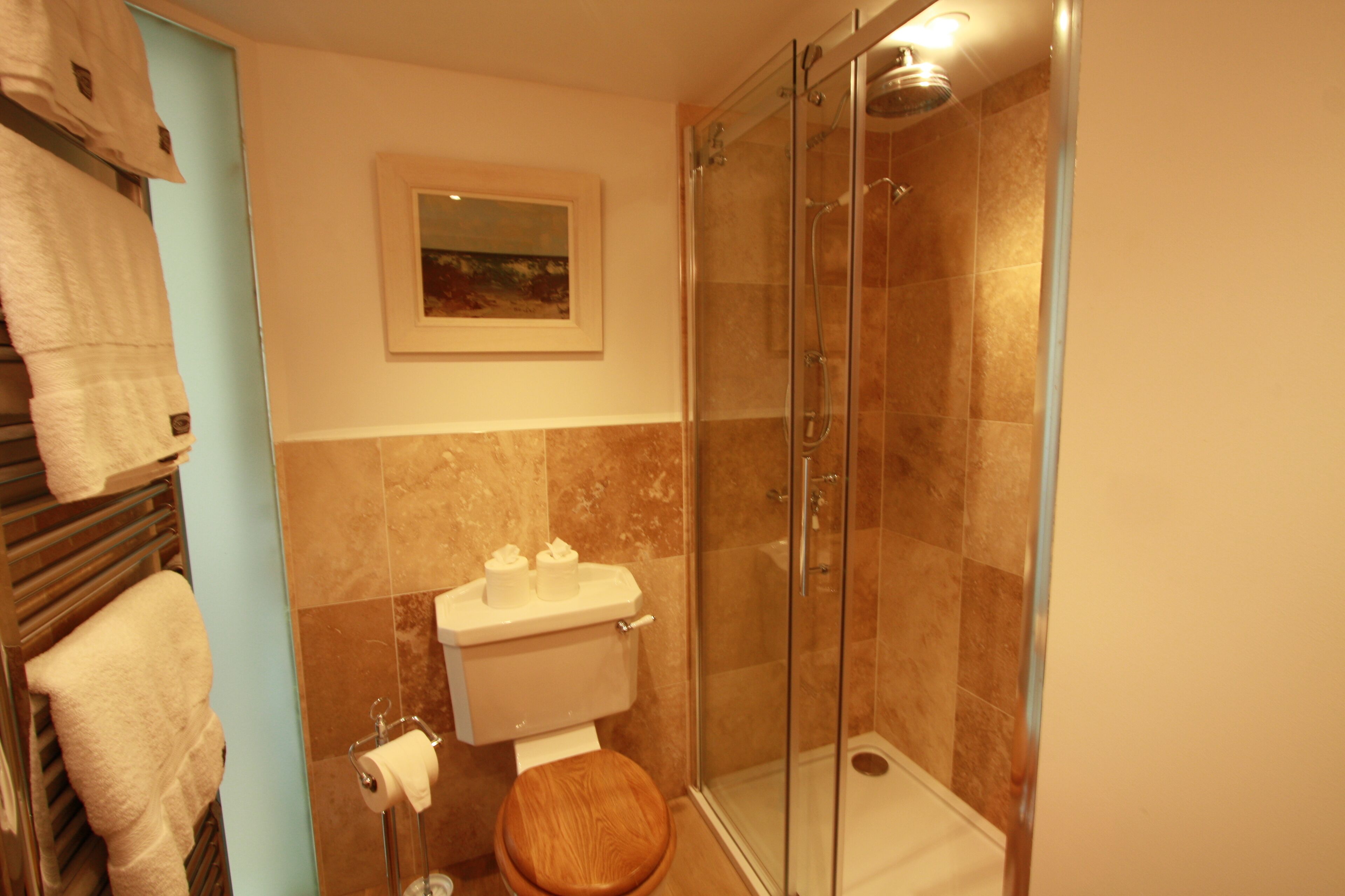 Une salle de bain avec une douche à parois de verre, des toilettes et un porte-serviettes avec des serviettes.