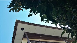 Exterior - 2496 Oldtel Bed & Cafe (Chiang Rai)