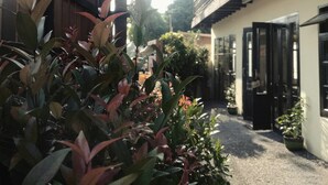 Property grounds - 2496 Oldtel Bed & Cafe (Chiang Rai)