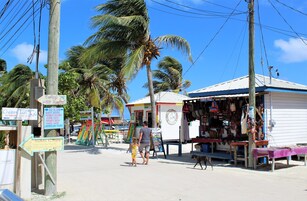 Zona junto a la playa con carteles anunciando una casa de huéspedes, habitaciones privadas y excursiones de snorkel.