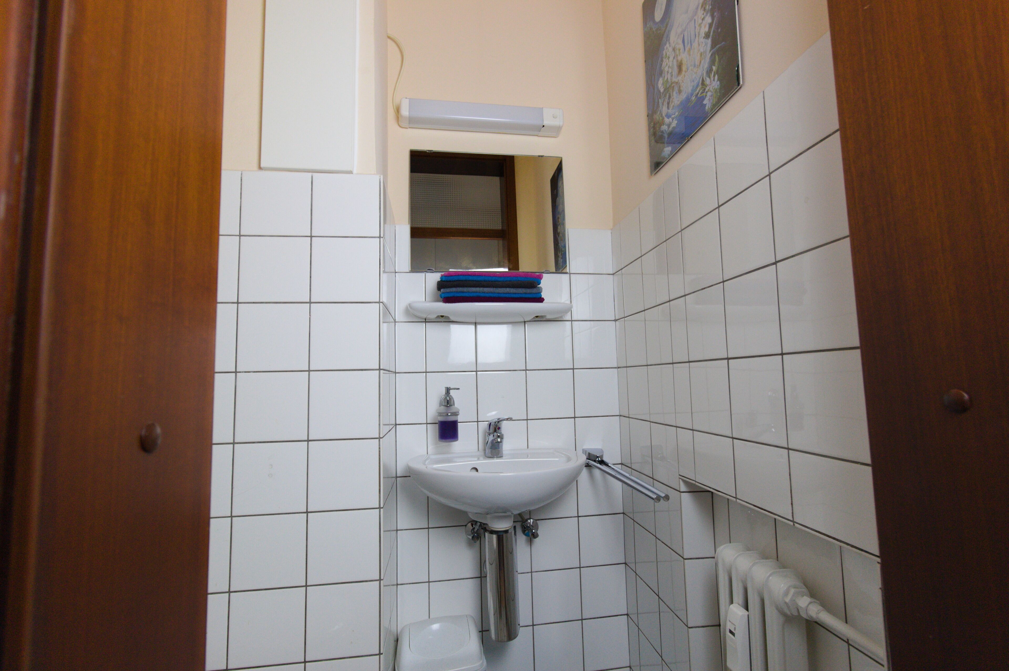 A bathroom with a white sink, a mirror, and a towel rack.