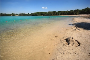 A beach with clear turquoise water, a sandy shore, and a forested background.