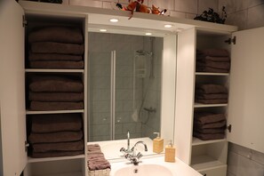 Dusche, Haartrockner, Handtücher, Seife