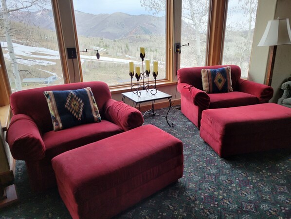 TV, fireplace, DVD player, books