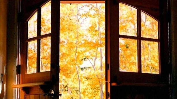 A wooden door with glass panels, revealing a view of autumn trees outside.