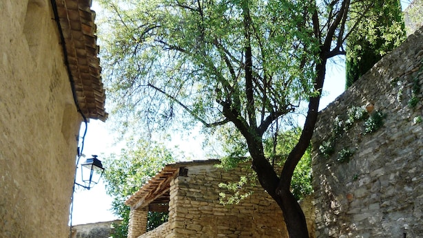 A narrow street with stone walls and a tree in the center. - Charming dry-stone house, perfect holidays (Saumane-De-Vaucluse)