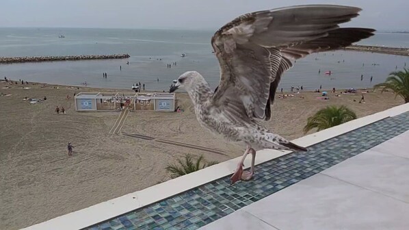 A seagull landing on a tiled ledge overlooking a beach with people and a lifeguard station.