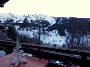 Property grounds - 3-bedroom chalet, view, parking, wifi (La Clusaz)