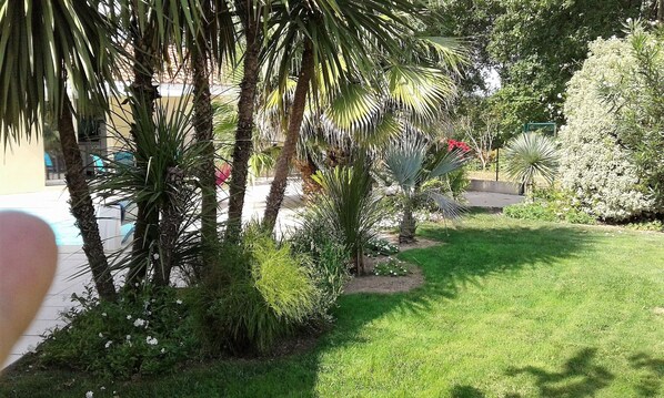 A well-maintained garden with palm trees, a lawn, and various shrubs.