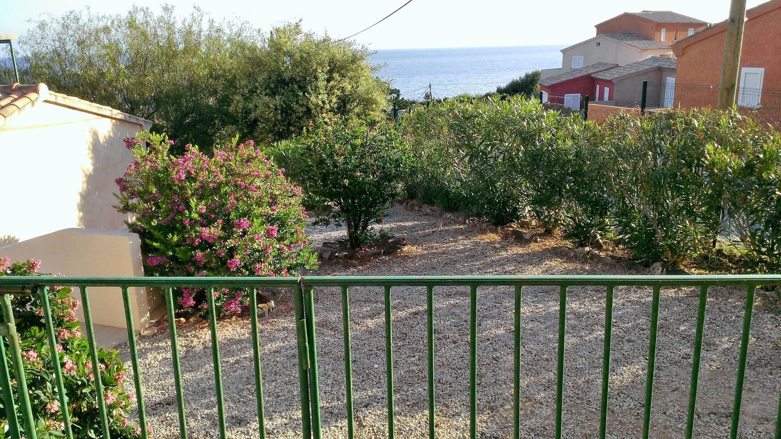 A garden with gravel paths, a metal fence, and various shrubs and trees.