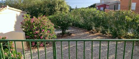 A garden with gravel paths, a metal fence, and various shrubs and trees.