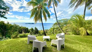 A grassy outdoor area with white plastic chairs and a table, surrounded by palm trees and a view of the ocean.