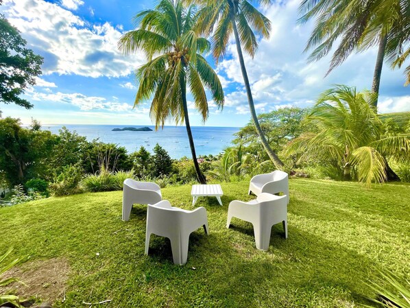 A grassy outdoor area with white plastic chairs and a table, surrounded by palm trees and a view of the ocean.