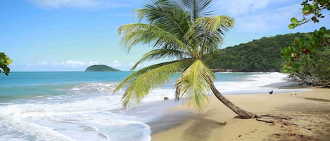 Beach nearby