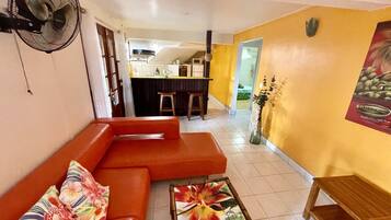 电视、DVD 播放器