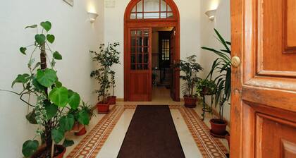 Piazza di Spagna, Fontana di Trevi, Colosseo all by feet !