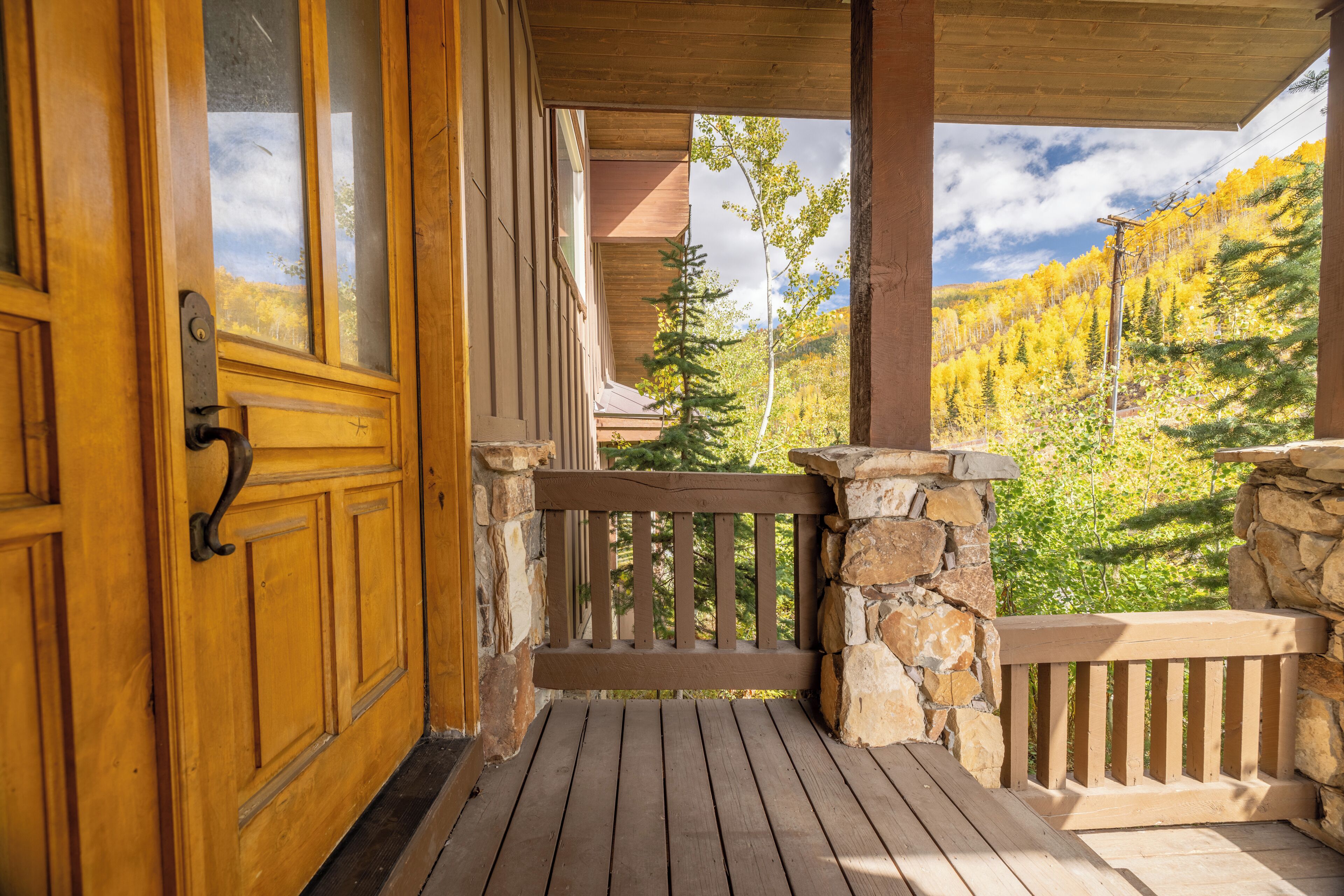 テラス / パティオ