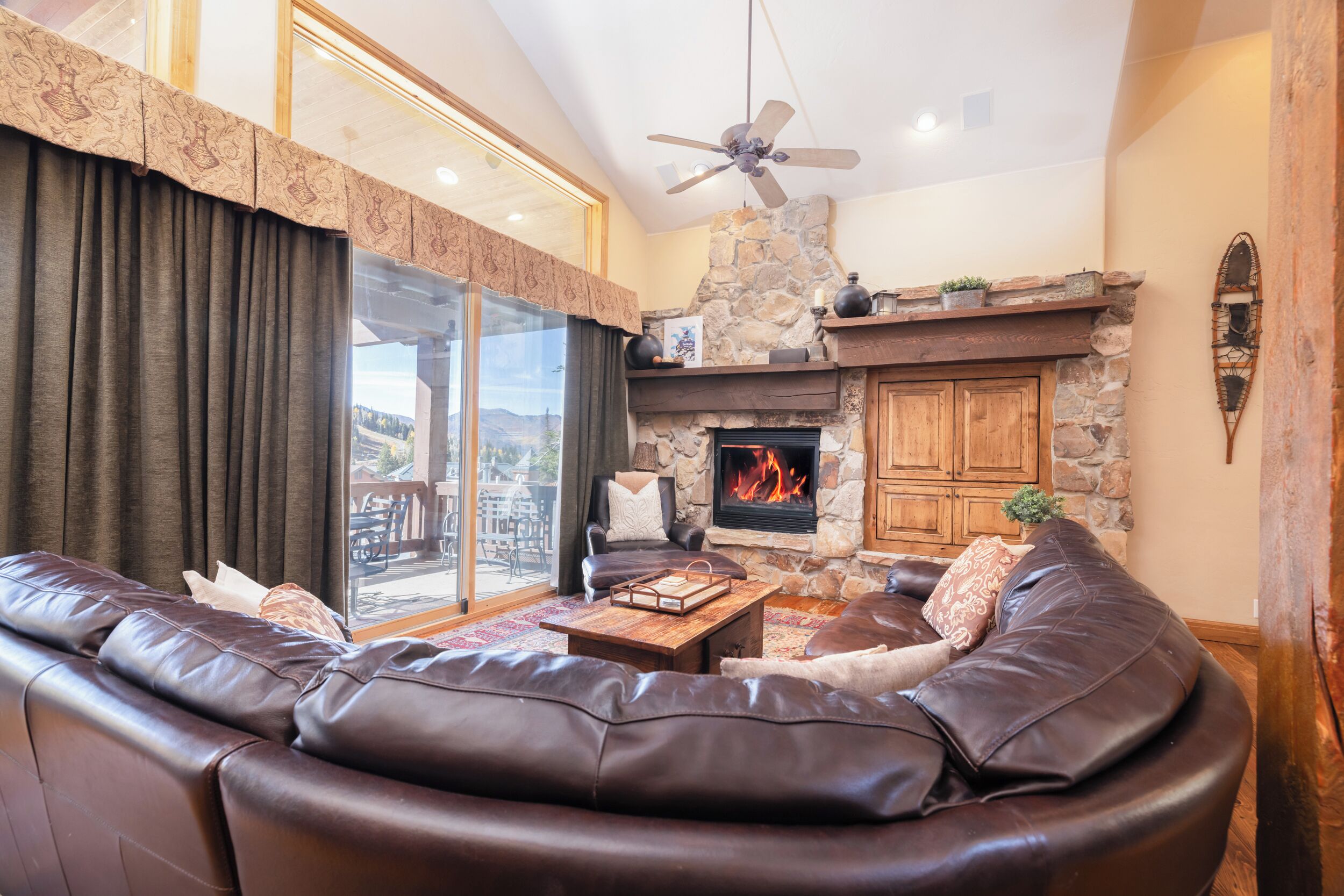 TV, fireplace, DVD player, books