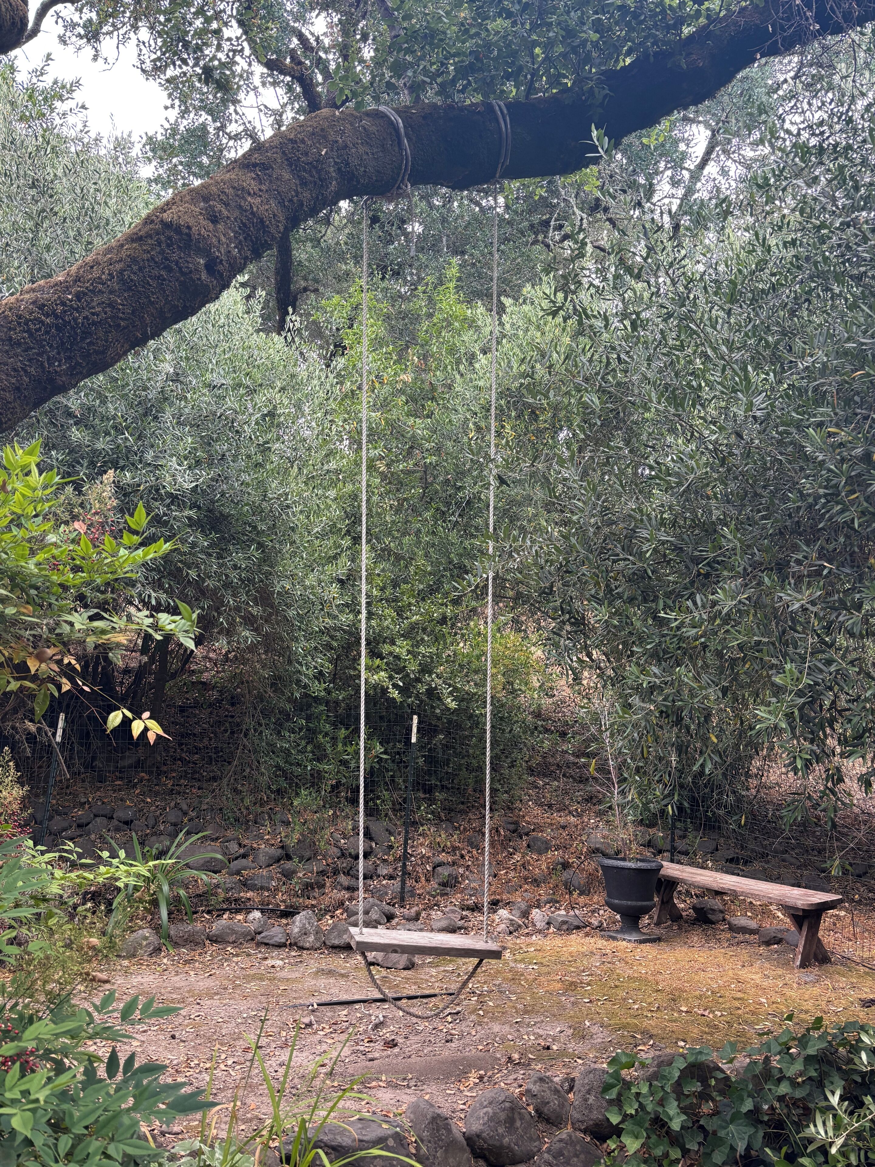 A garden with a swing set, a wooden bench, and a wire fence.