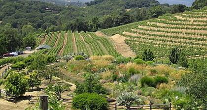 Wine Country beautiful Glen Ellen, Sonoma Valley Secluded Sophistication.
