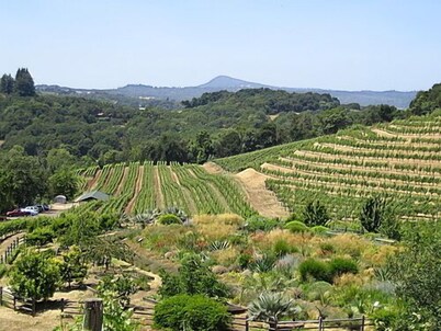 Wine Country beautiful Glen Ellen, Sonoma Valley Secluded Sophistication.