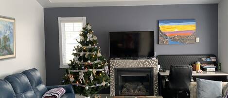 Una televisión, una chimenea, un reproductor de DVD, libros