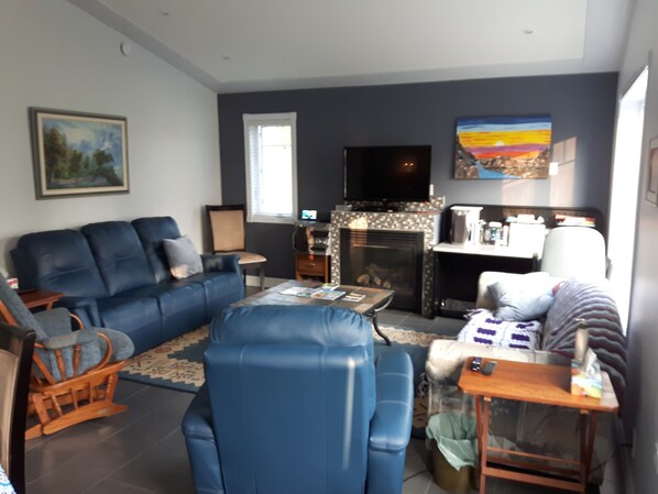 TV, fireplace, DVD player, books