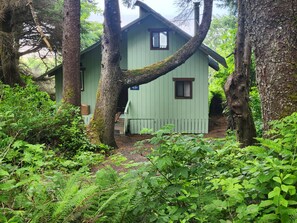 Exterior - Dog-friendly beachfront cabin with ocean views & private path to beach (Copalis Beach)