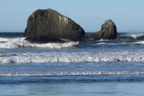 On the beach - Dog-friendly beachfront cabin with ocean views & private path to beach (Copalis Beach)
