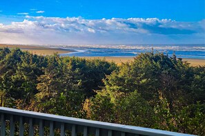 Property grounds - Dog-friendly beachfront cabin with ocean views & private path to beach (Copalis Beach)