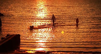 Cape Escape-Short Walk to Beach, Pet Friendly, Fenced Yard & Optional GC Rental