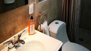 Dusche, Haartrockner, Handtücher, Shampoo