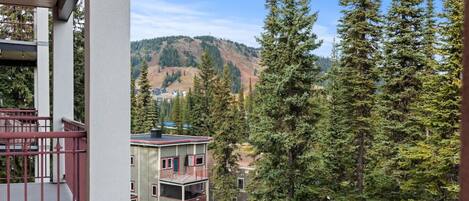 A building with multiple floors, surrounded by tall evergreen trees, and a view of distant hills.