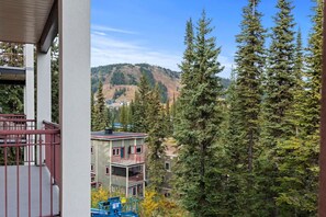 Property grounds - Silver Peaks - 2bed, 2bath ski-in/Ski-out (Vernon)