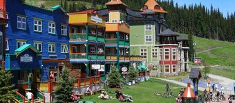Silver Peaks - 2bed, 2bath ski-in/Ski-out