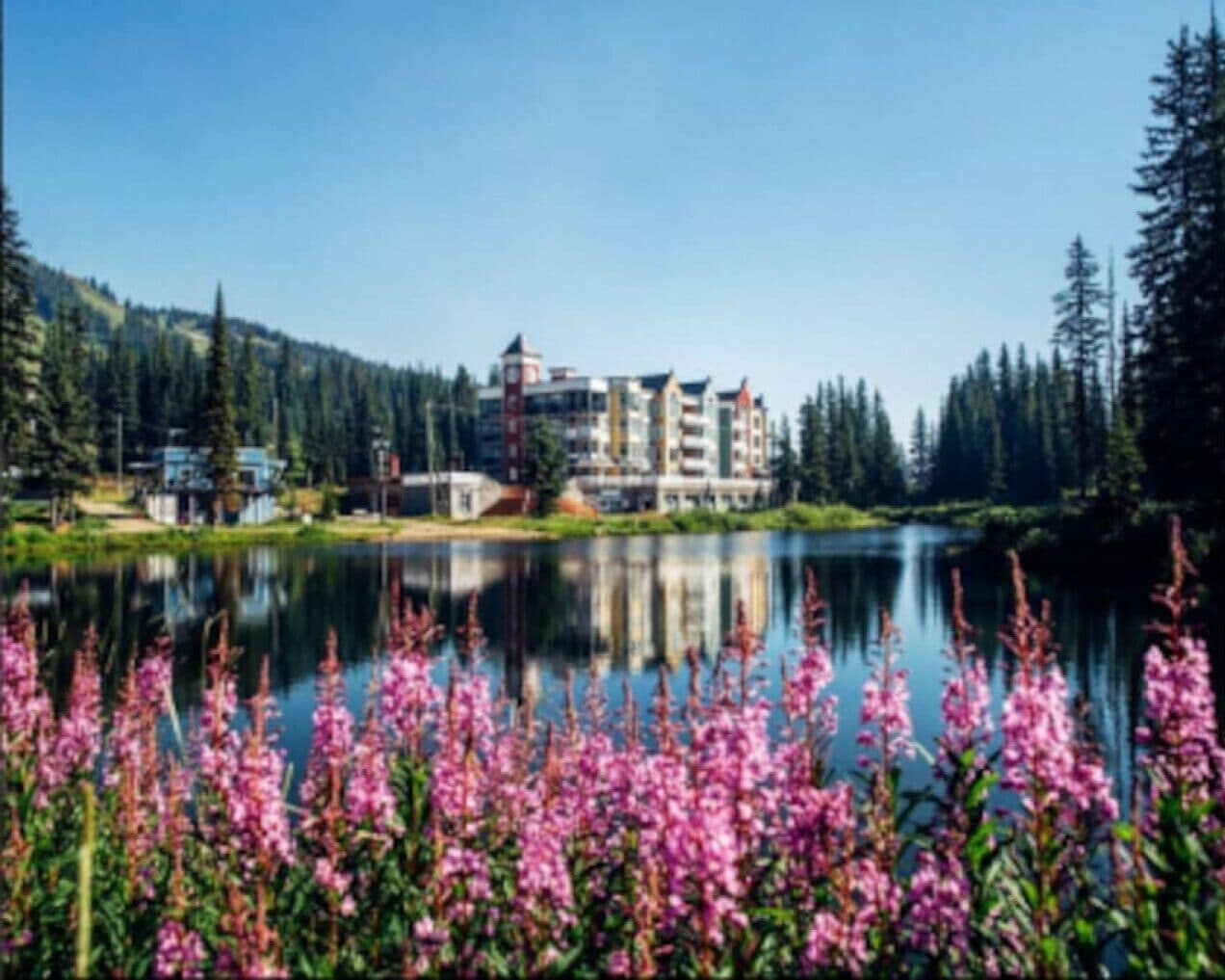 A lake with a reflection of a building complex, surrounded by dense forest and flowering plants.