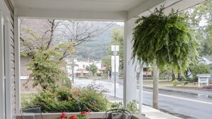 A covered porch with green artificial turf, metal chairs, and potted plants. - Charming Cottage in town~on Appalachian Trail~Mountain Views~   (Hot Springs)