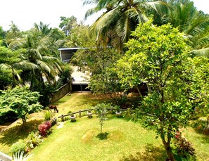 Property grounds - Bee Line-Stay With Us & Experience The Sri Lankan Cousins blended With Culture (Dikwella)
