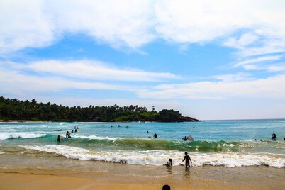 Bee Line: quédate con nosotros y experimenta los primos de Sri Lanka mezclados con la cultura