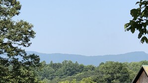 A barn with a cow in a fenced pasture. - Modern Farmhouse near VMI, W&L, SVU & VA Horse Ctr (Lexington)