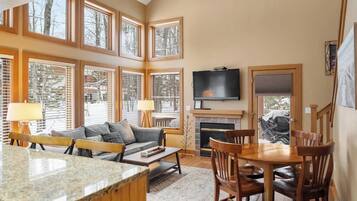 TV connectée, cheminée, lecteur de DVD