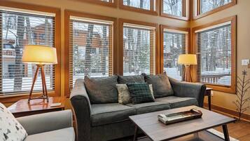 TV connectée, cheminée, lecteur de DVD