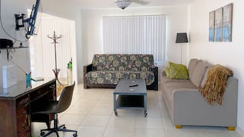 TV, DVD player, video library