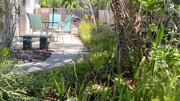 Un jardin où l’on trouve une grande variété de plantes, ainsi qu’une clôture en bois. On y trouve également un espace patio avec des chaises et une table.
