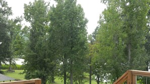 A view of a residential area with tall trees, a wooden deck, and a grassy lawn. - Fish Eagle Loft ~ On the Lake ~ Beautiful Views~Great Fishing~Wildlife Abounds (Guntersville)
